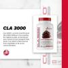 سی ال ای 3000 متابولیک
